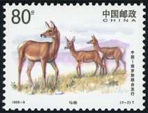 1999-5 马鹿