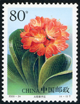2000-24 君子兰