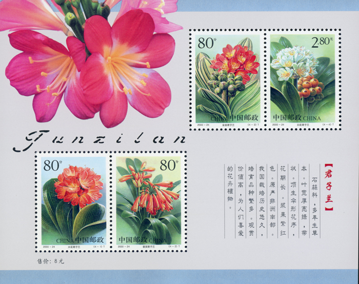 2000-24 君子兰（小全张）