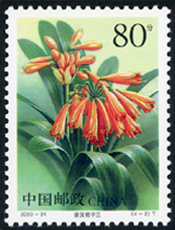 2000-24 君子兰