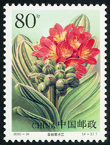 2000-24 君子兰