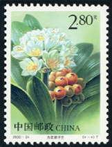 2000-24 君子兰