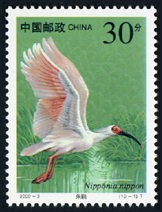 2000-3 国家重点保护野生动物（Ⅰ级）（一）