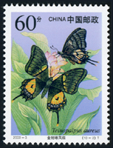 2000-3 国家重点保护野生动物（Ⅰ级）（一）