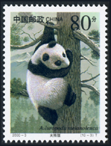 2000-3 国家重点保护野生动物（Ⅰ级）（一）