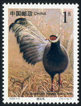 2000-3 国家重点保护野生动物（Ⅰ级）（一）