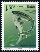 2000-3 国家重点保护野生动物（Ⅰ级）（一）