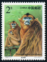 2000-3 国家重点保护野生动物（Ⅰ级）（一）