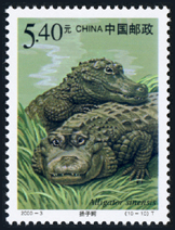 2000-3 国家重点保护野生动物（Ⅰ级）（一）