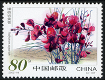 2002-14 沙漠植物