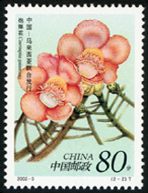 2002-3 珍稀花卉