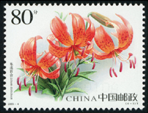 2003-4 百合花