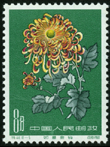 Te44 菊花