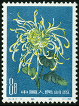 Te44 菊花