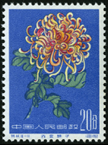 Te44 菊花