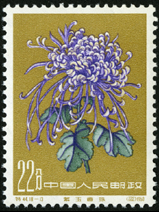 Te44 菊花