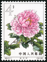 Te61 牡丹
