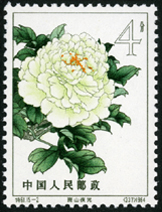 Te61 牡丹
