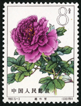 Te61 牡丹