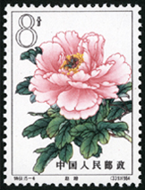 Te61 牡丹