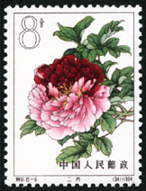 Te61 牡丹