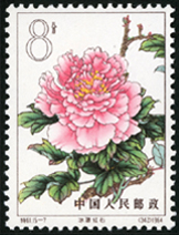 Te61 牡丹