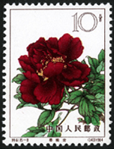 Te61 牡丹