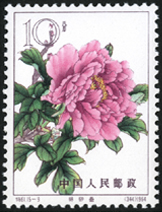 Te61 牡丹