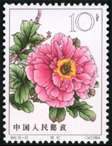 Te61 牡丹