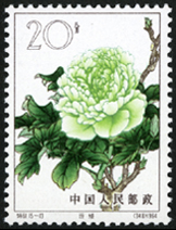 Te61 牡丹