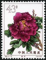 Te61 牡丹
