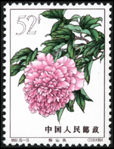 Te61 牡丹