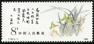 T129 中国兰花