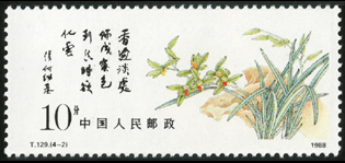 T129 中国兰花