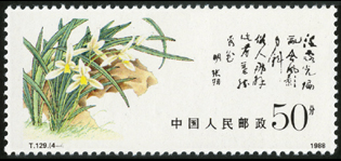 T129 中国兰花