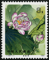T54 荷花