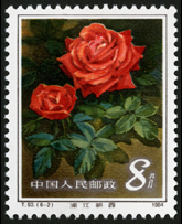 T93 月季花
