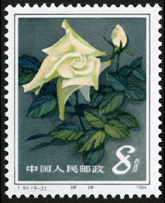 T93 月季花