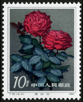 T93 月季花